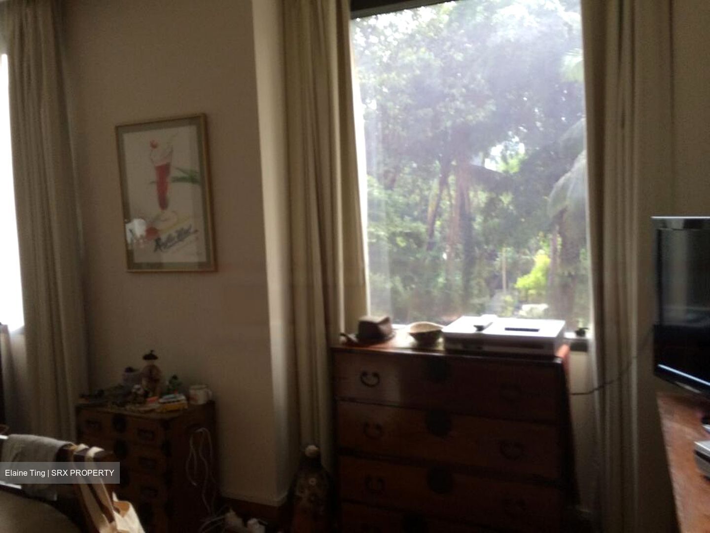 Four Seasons Park (D10), Condominium #549386581
